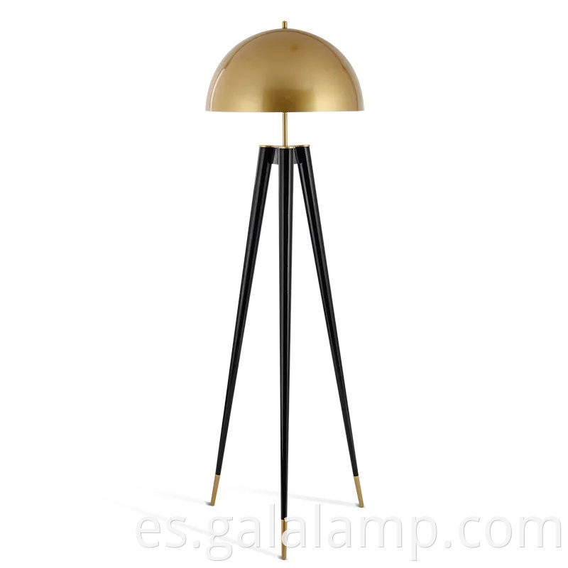 Aquí hay diez sugerencias de nombre de producto optimizadas por SEO para la lámpara de piso: